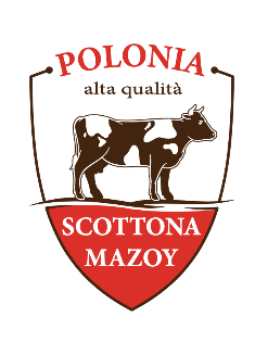 Scottona Mazoy